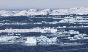Satellite Data Reveals Significant Ice Loss in Greenland and Antarctica