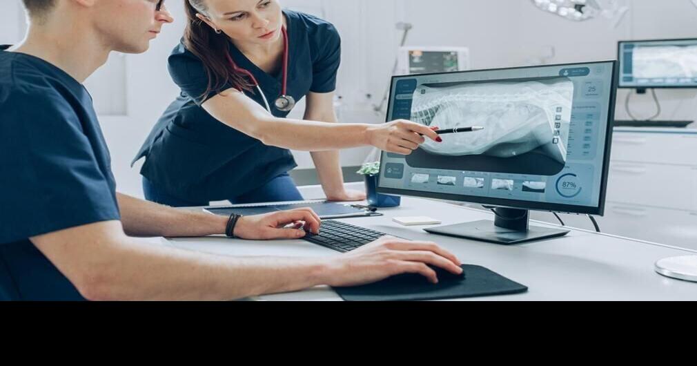 These are the best jobs of 2025, according to Indeed
