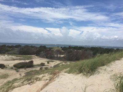 Shackleford Banks