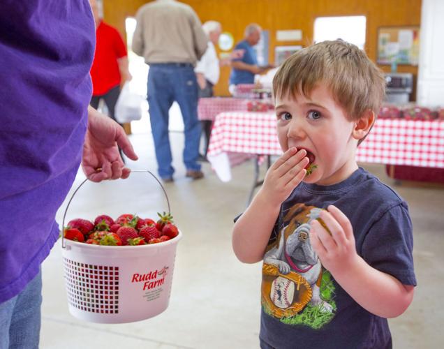 Shoppers flock for pre-picked farm strawberries