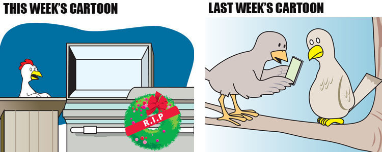 jou_chicken-funeral_bird-phone_062119