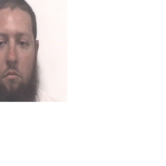 Owner of 'extremely underweight' horse charged with animal cruelty in ...