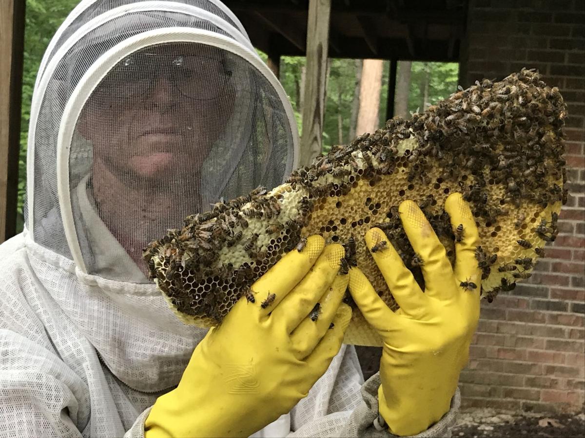 Beekeepers Association continues to help during COVID19 Latest News