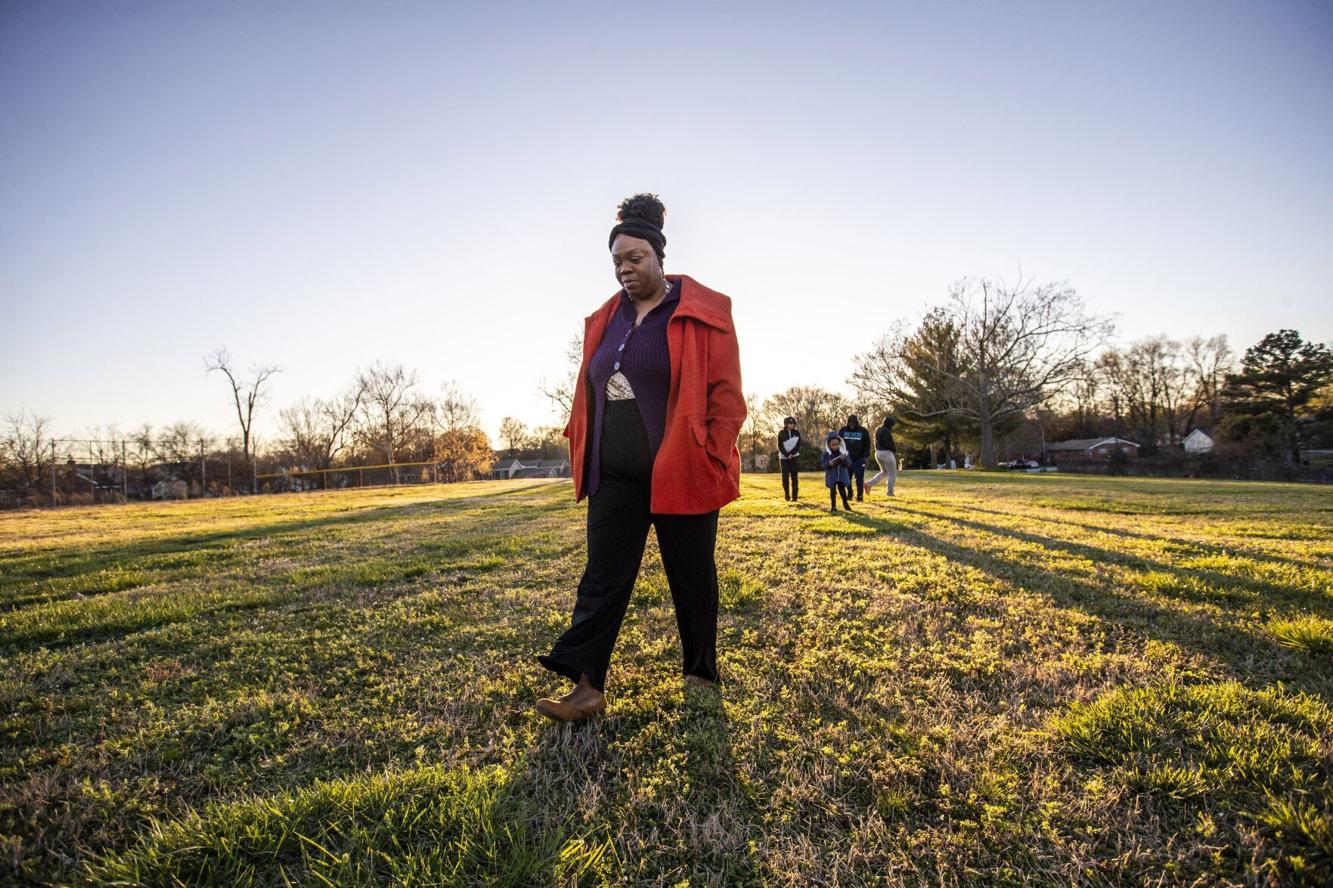 Bingham Park restoration depends on passage of bill