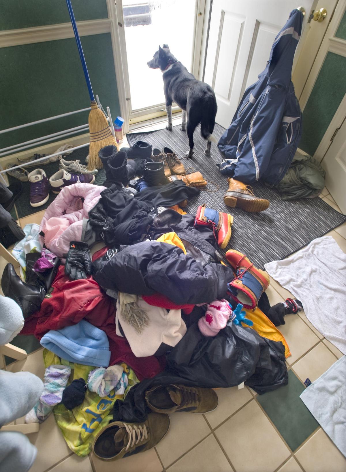 Dog Days Of Winter Latest News Greensboro Com