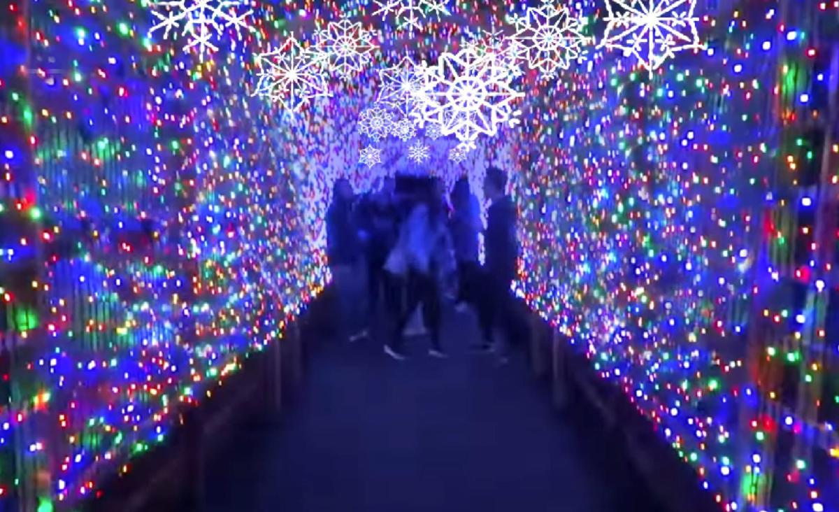 Greensboro Science Center to launch new 'Winter Wonderlights' in November