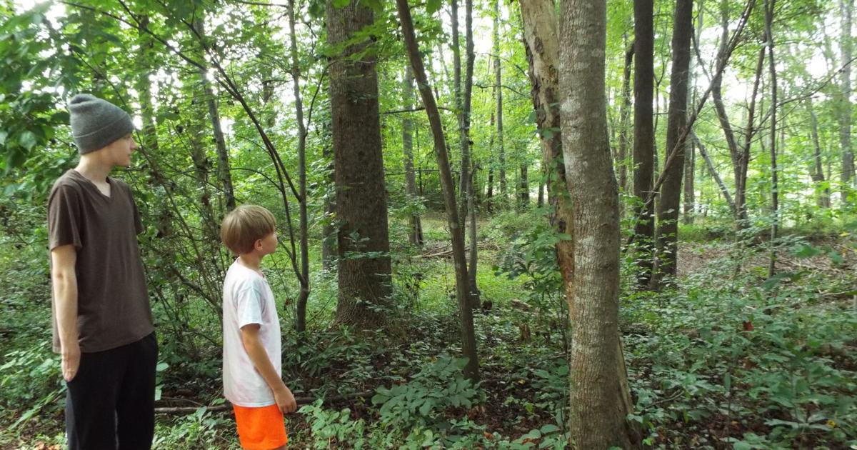 Ann Fish Rockingham Ann Fish: Memories from 1957 plane crash in Ruffin remain vivid decades ...