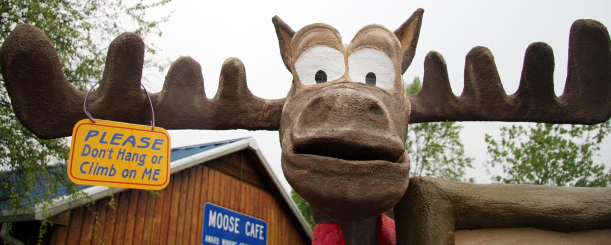 MOOSE2_033607