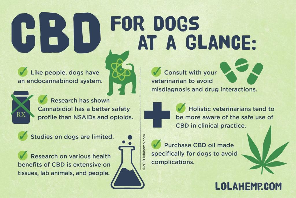 CBD for Dogs: What Pet Owners Should Know | Lolahemp | greensboro.com