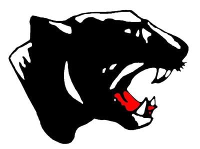 panther-head-logo