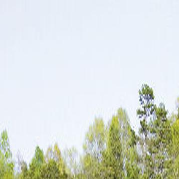 Return To Sedgefield Latest News Greensboro Com