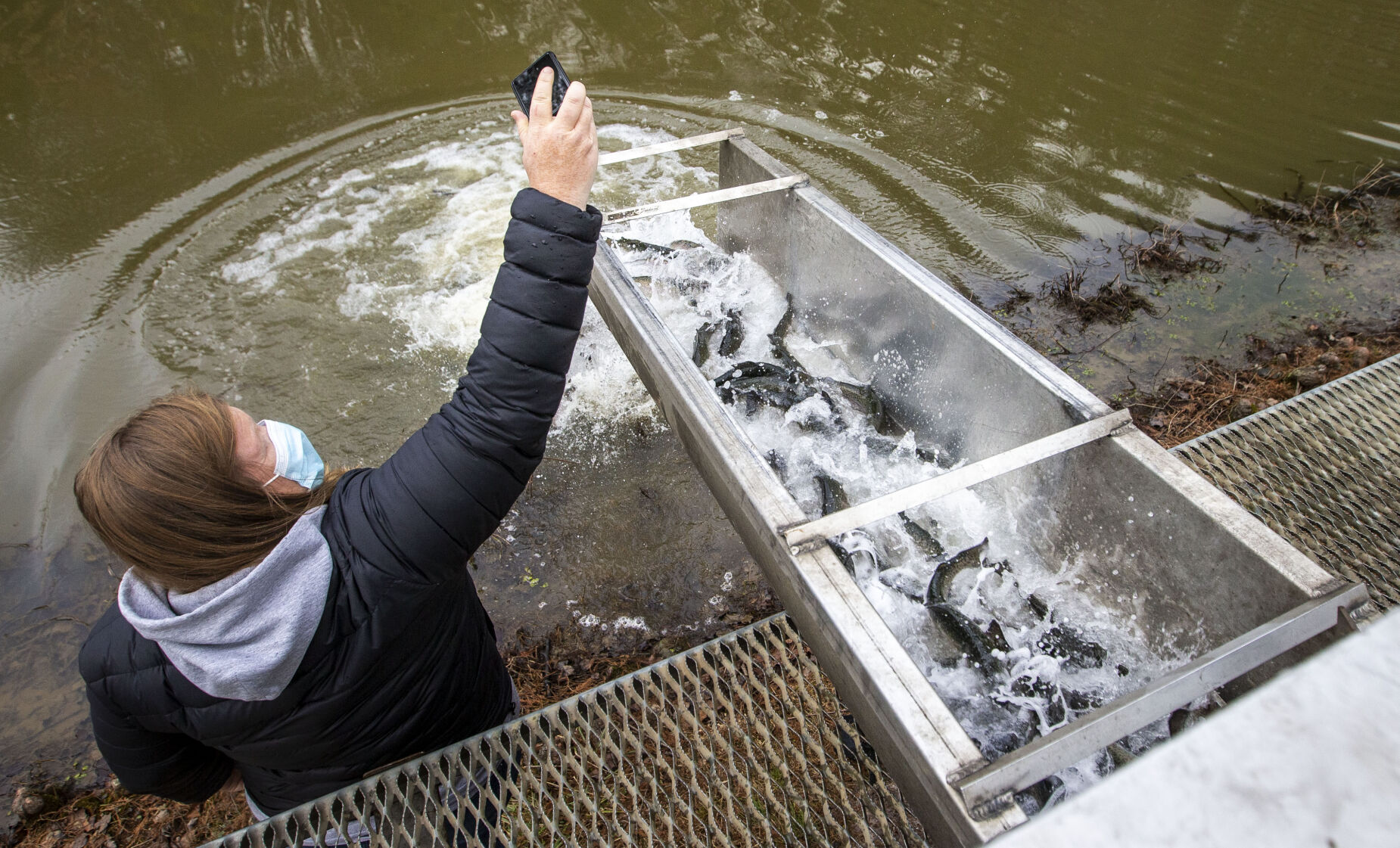 Fish Stocking (copy)