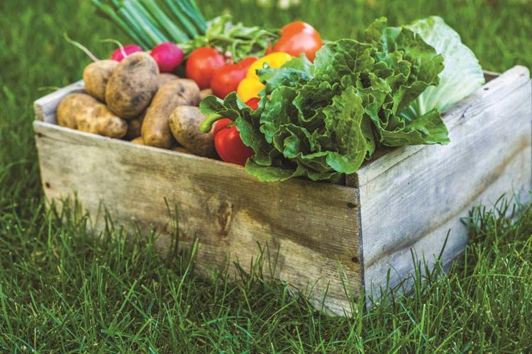 Produce Box Generic