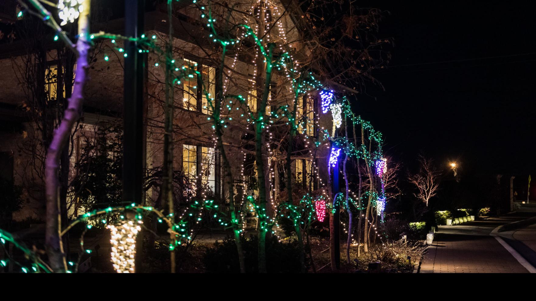 Ciener Botanical Garden Creates Dramatic Holiday Display From