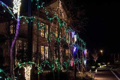 Ciener Botanical Garden Creates Dramatic Holiday Display From