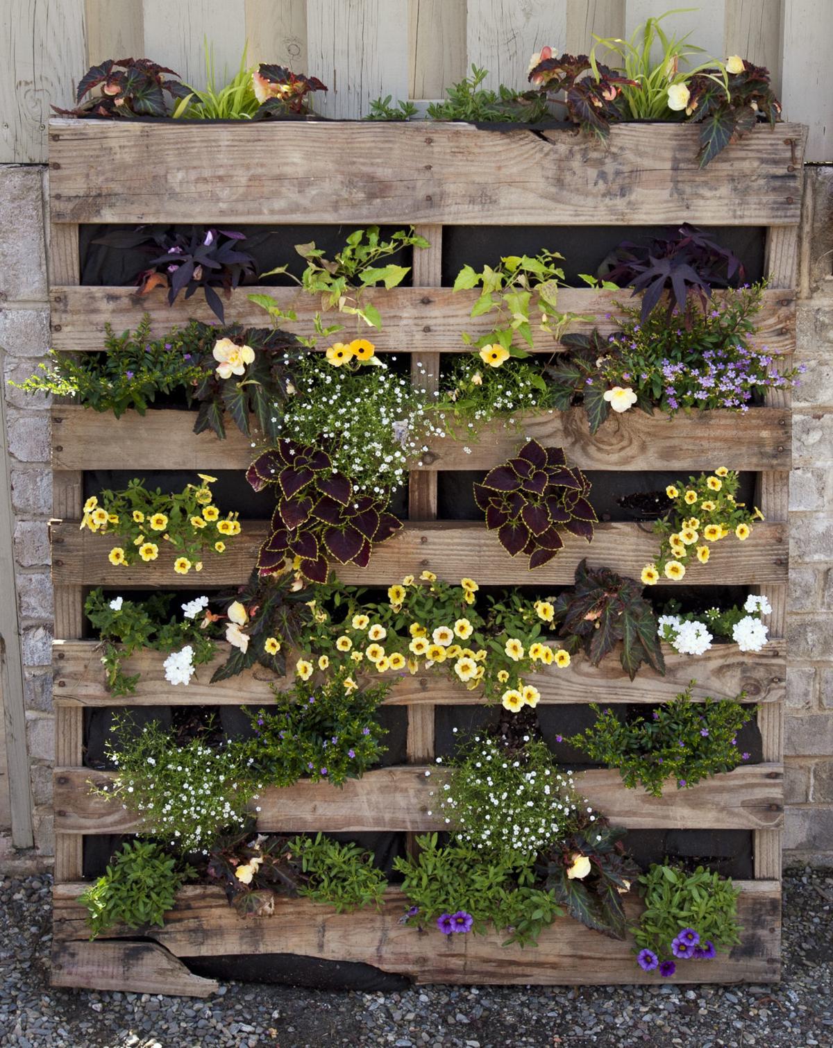 From Our Gardens Pallets Find New Life In The Garden Lifestyles