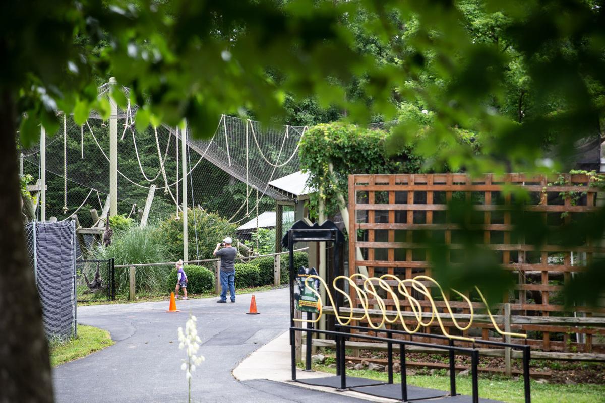 Greensboro Science Center reopens with new rules Local News