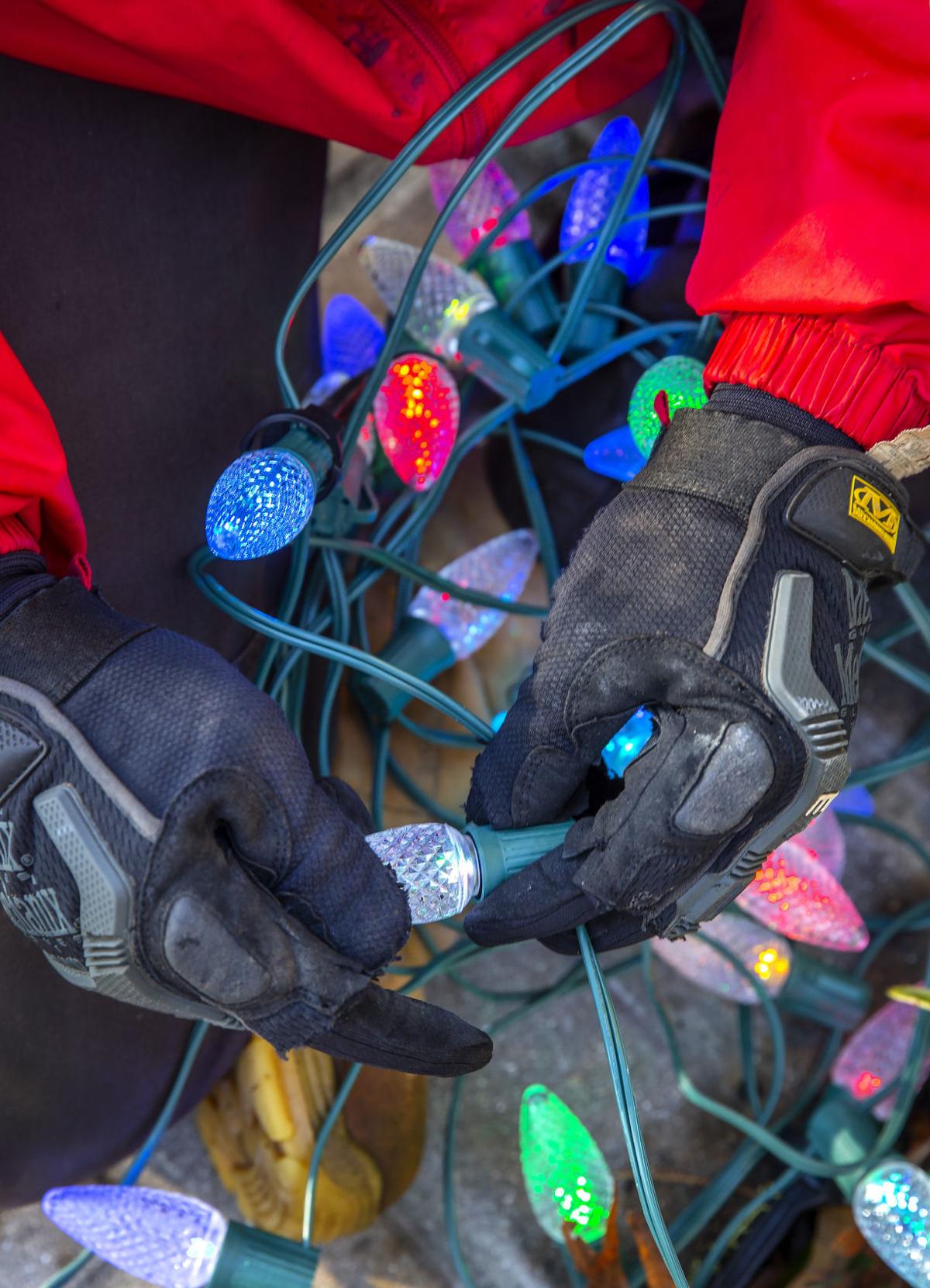 Pest Control Company In Greensboro Hangs Lights On The Side Business Greensboro Com