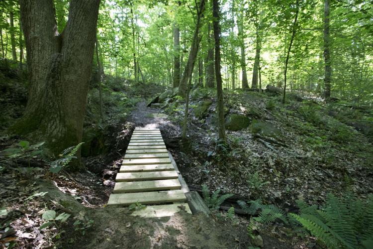 Tour of Rich Fork Preserve in High Point