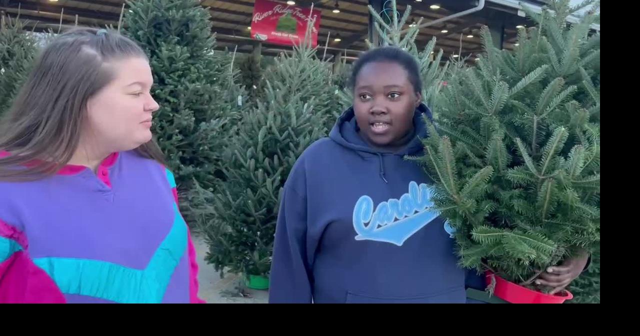 No shortage of holiday spirit on Christmas tree lots around Guilford County