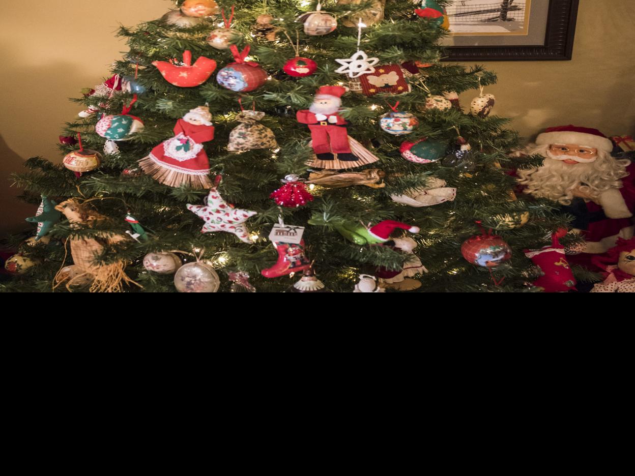 Christmas Tree Store Greensboro Nc - Christmas Tree In Four Seasons
