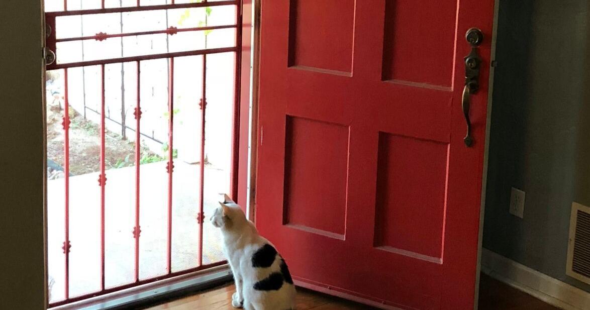 Beyond keeping out bugs, the screen door safeguards Americans' trust in others