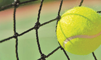 Djokovic, Federer could meet in Wimbledon final; Halep out ...