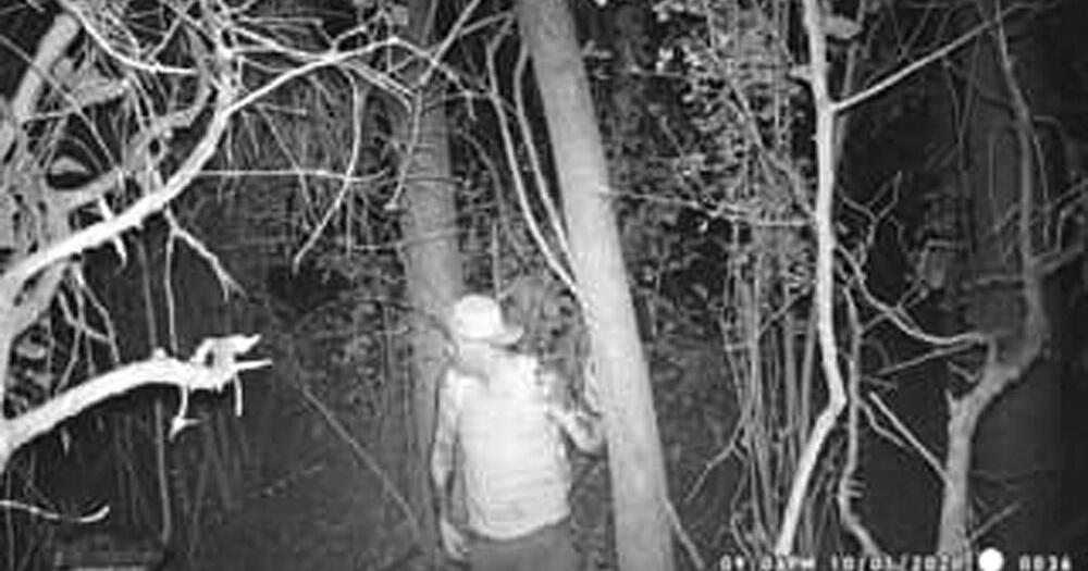 Suspect being sought Local News