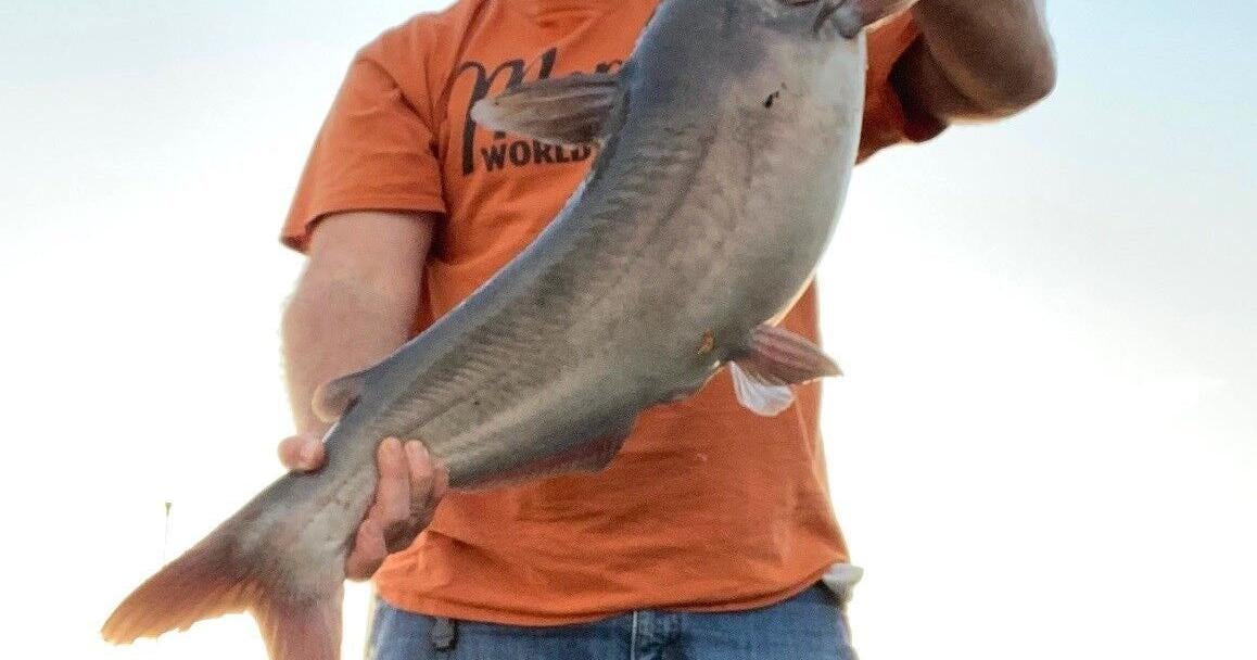 Fishing for catfish in Georgia