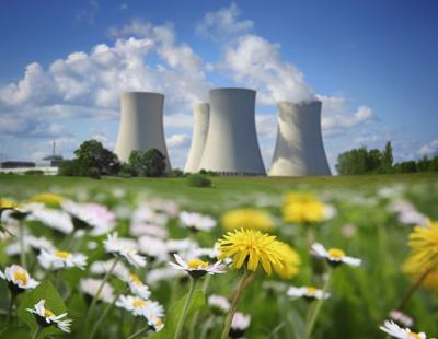 Powering the future: Georgia Tech alumni fuel nation's largest nuclear plant  | News | griffindailynews.com