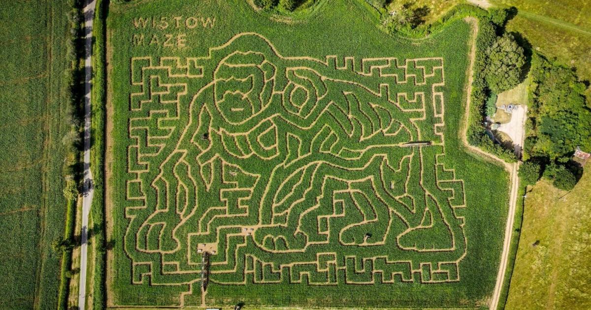 Giant gorilla maze celebrates Sir David Attenborough turning 100