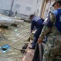 Mexico blames oil slick on illegal dumping