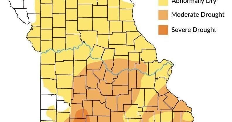 Dry conditions could affect Missouri harvests and beef prices