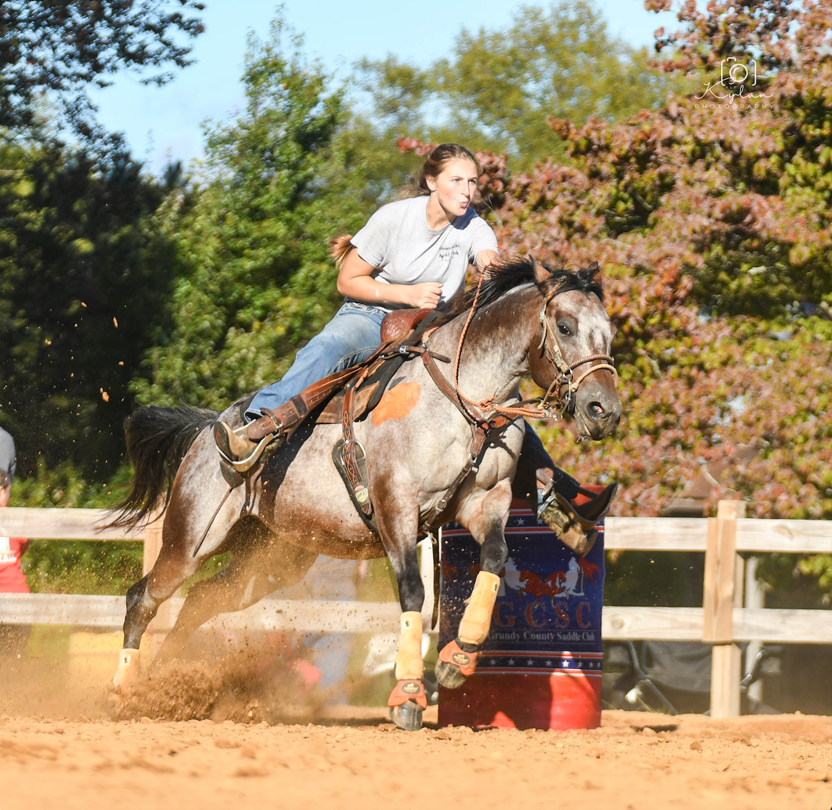 wayne county saddle club