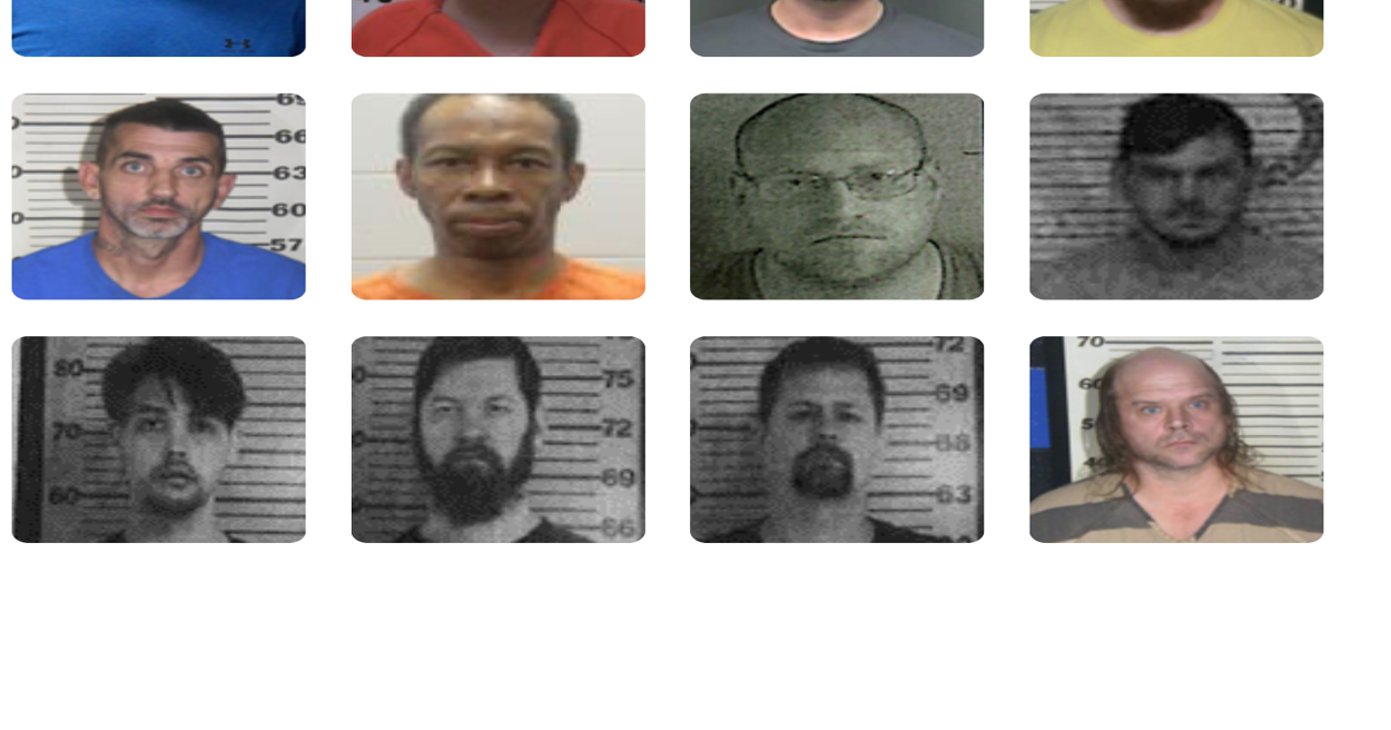 Operation Protecting Tomorrow results in 12 arrests Local News