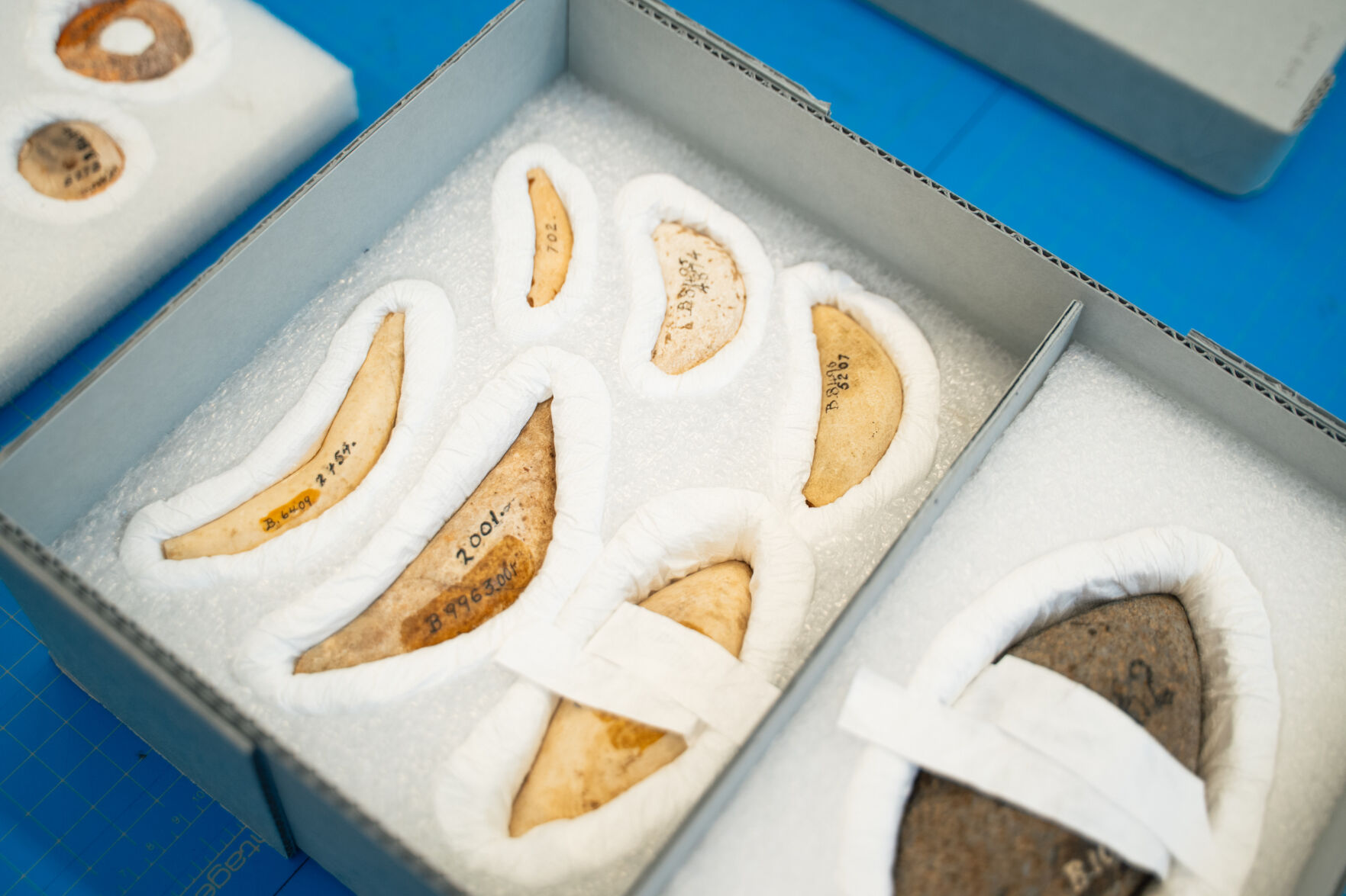 Right the wrongful removal': Latte stones, 10,000 artifacts on