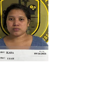 Woman charged with using machete to damage car