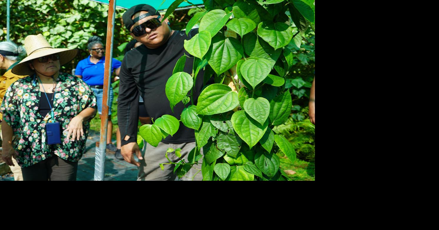 Super Typhoon Sinlaku crop loss assessment begins to help Guam farmers, ranchers