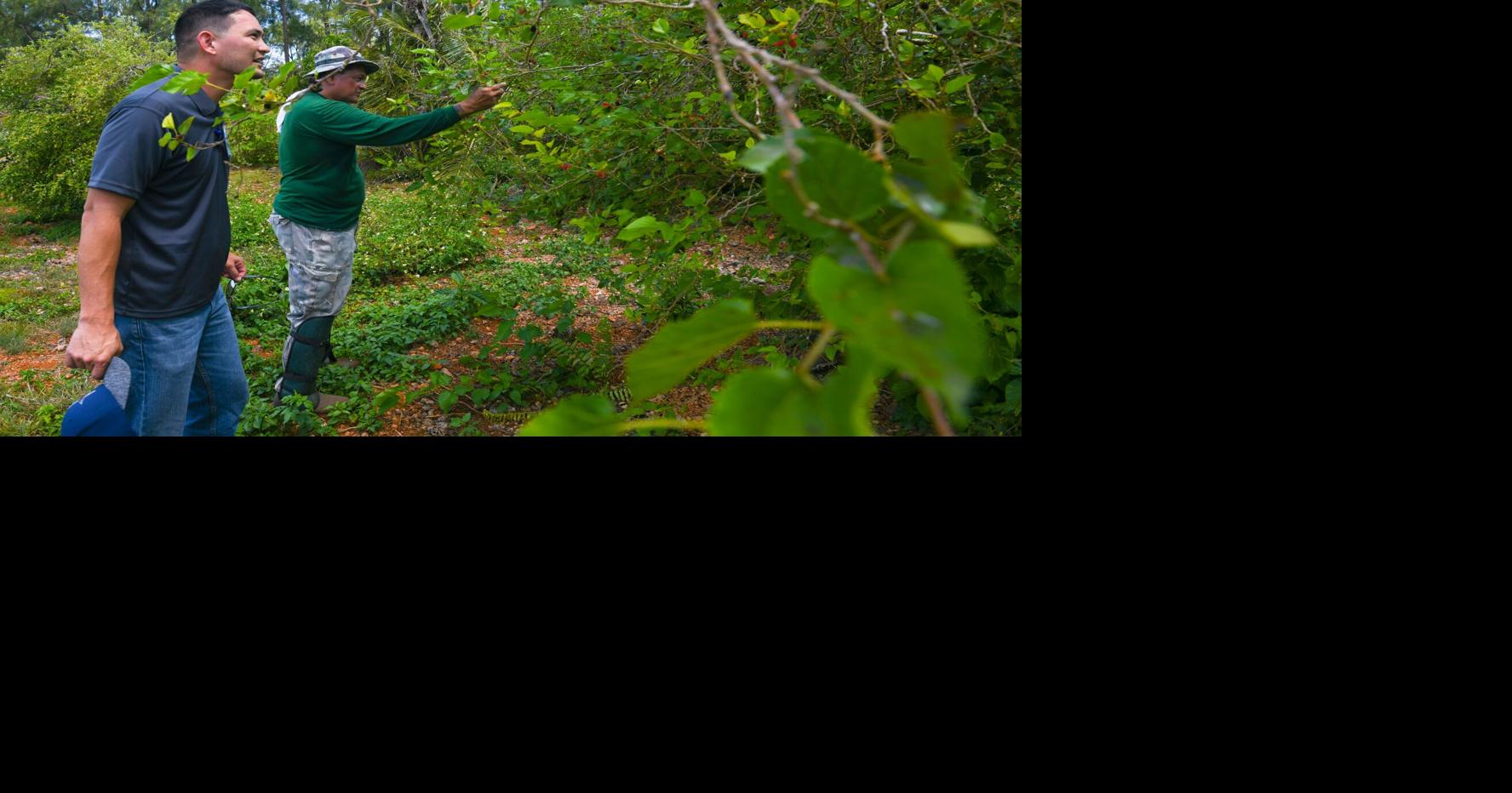 Land Trust awaits legislative approval on 2 agricultural lease awards