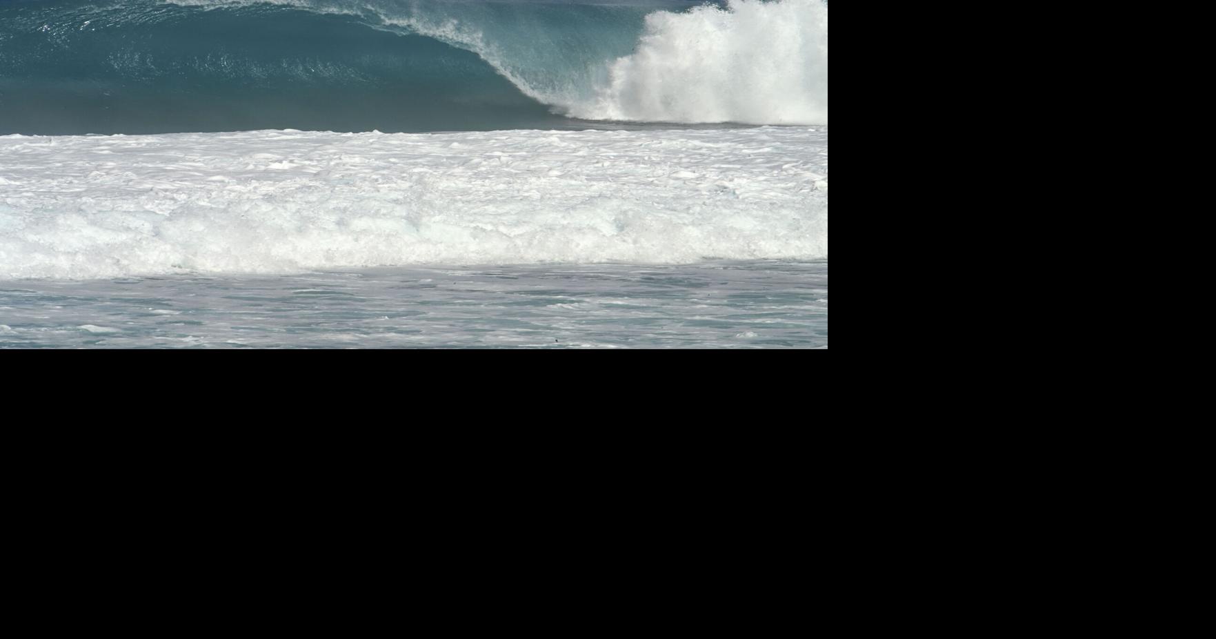 'Lowest footprint, lowest effects, maximum power': Researchers talk ocean energy at townhall