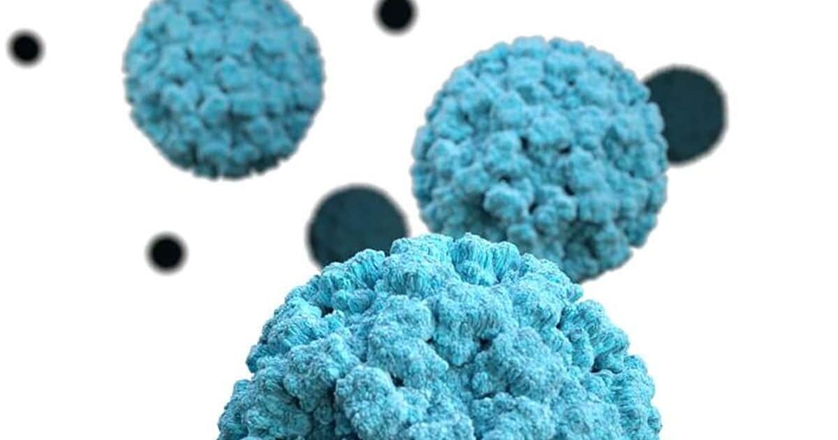 Public Health: No spike in stomach flu cases on Guam but take preventive steps