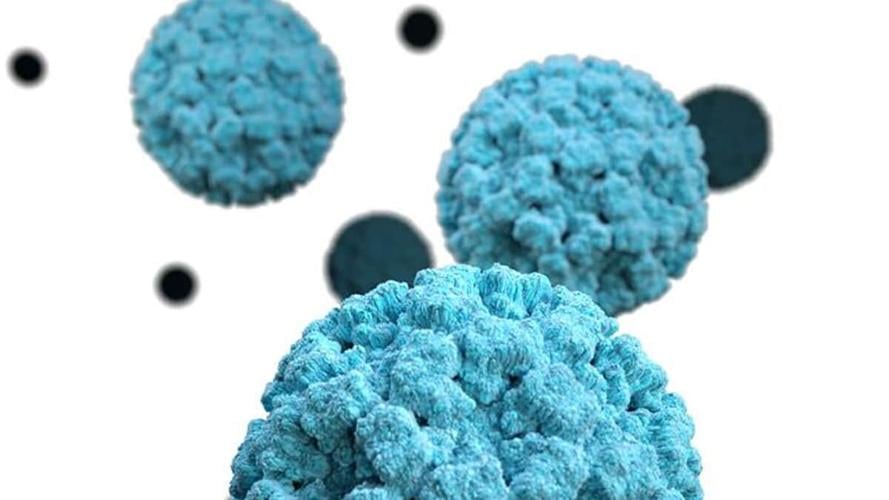 norovirus glp 1 GLP-1 Medications Clinic Near Me in Fayetteville, NC Weekly Health Digest: Norovirus Outbreaks,