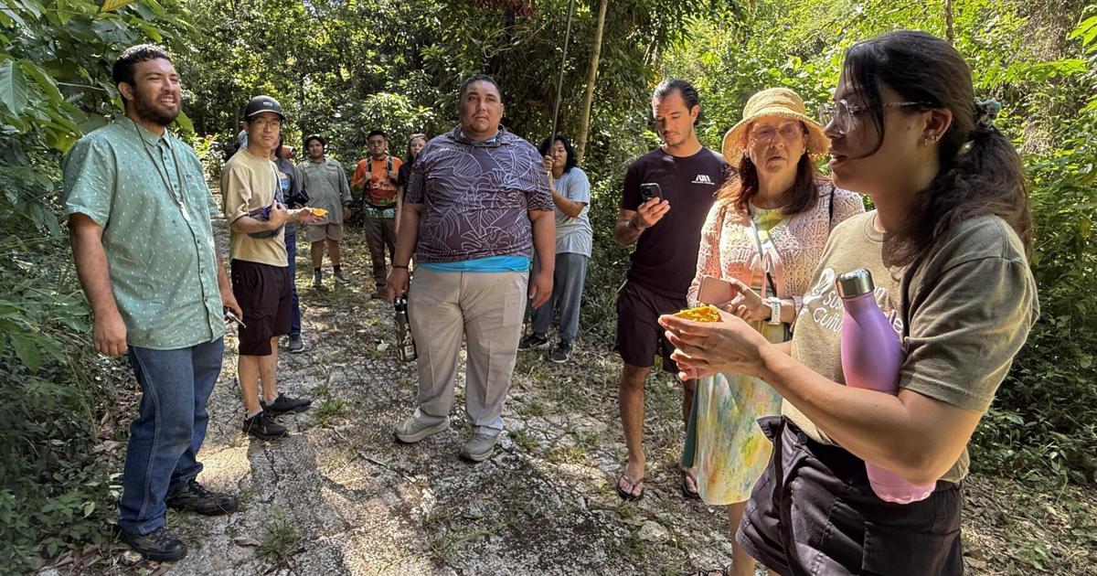 PHOTOS: Walking through Guahan Sustainable Culture's farm, food hub in Yona