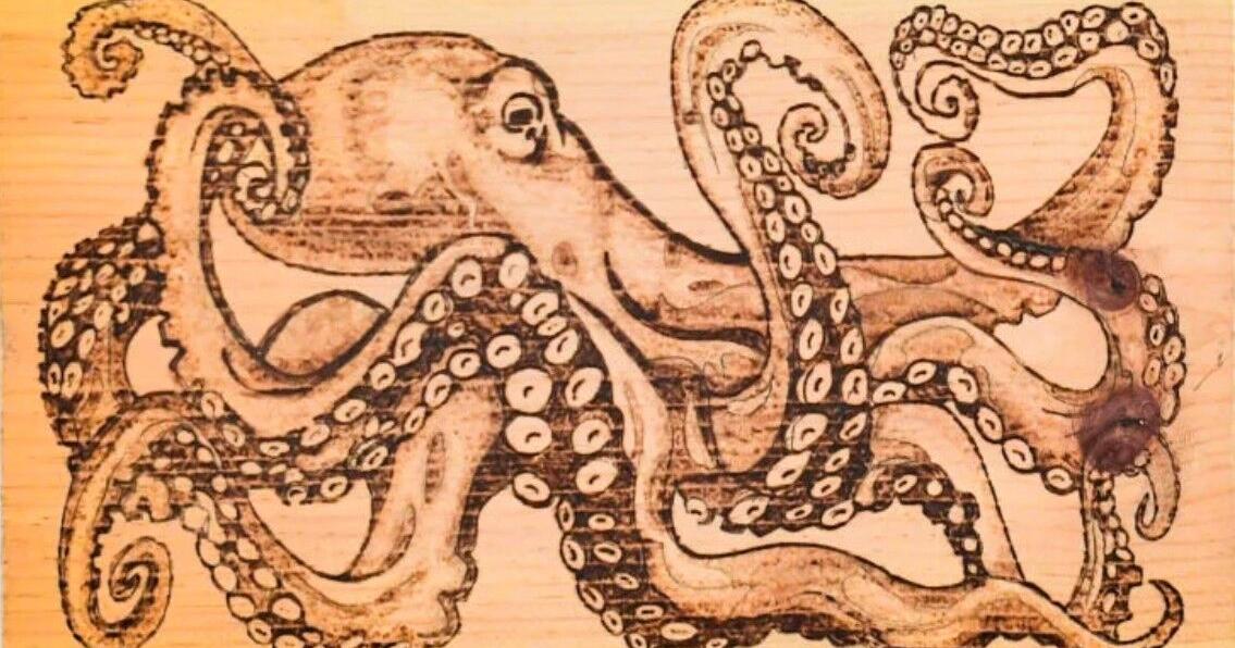 Proposed ban on octopus farming draws support from some residents