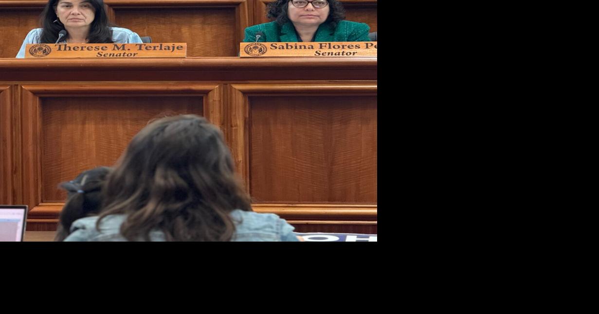 'Your interests, not special interests': Sens. Therese Terlaje, Sabina Perez launch gubernatorial campaign