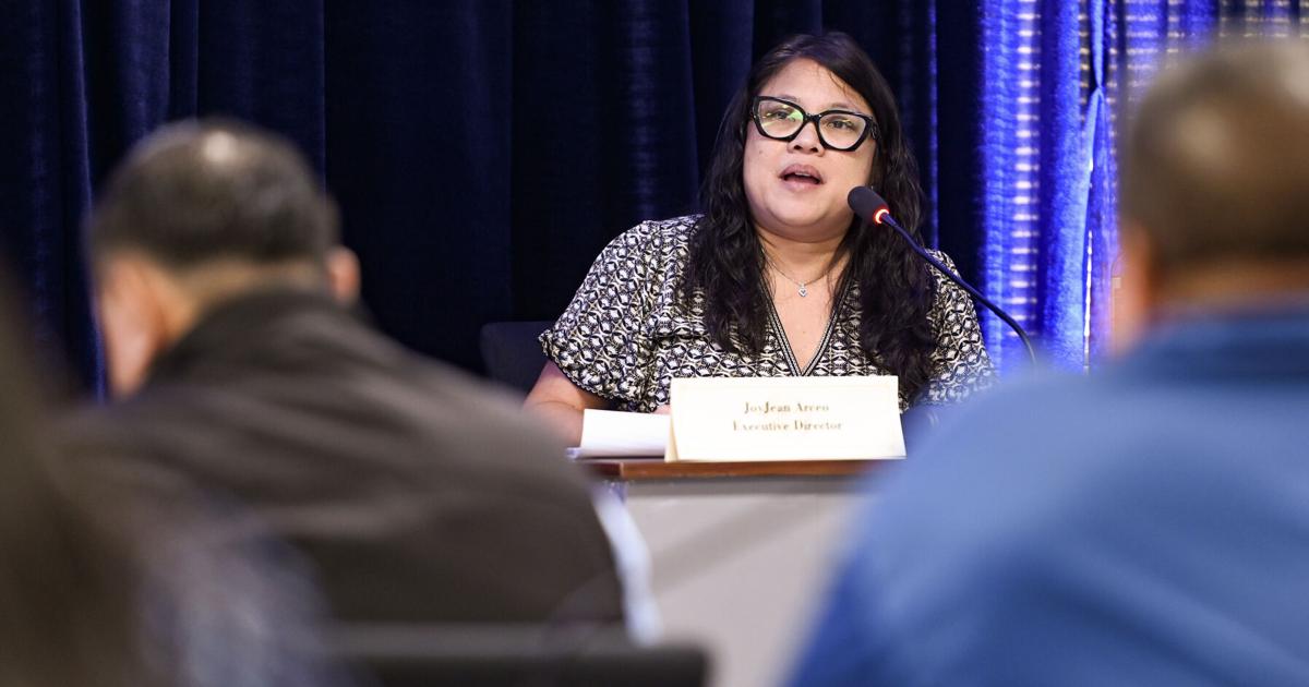 Bill to allow mayors council to handle procurement draws support