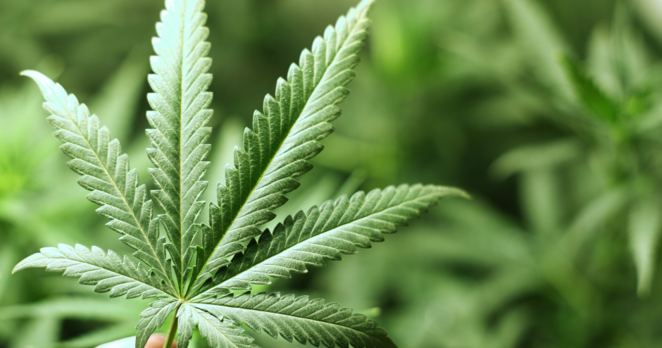 HR Hub: Still smokin', but check with HR first