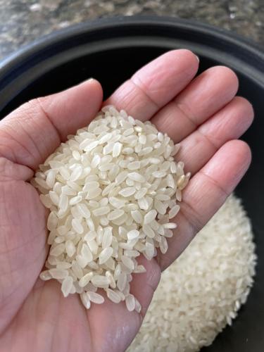 Wellness Wednesday: Good news for diabetic rice lovers | Lifestyle