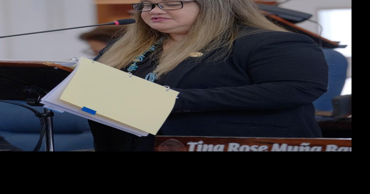 Affordability and access seen as key points to Guam's 5-year broadband ...