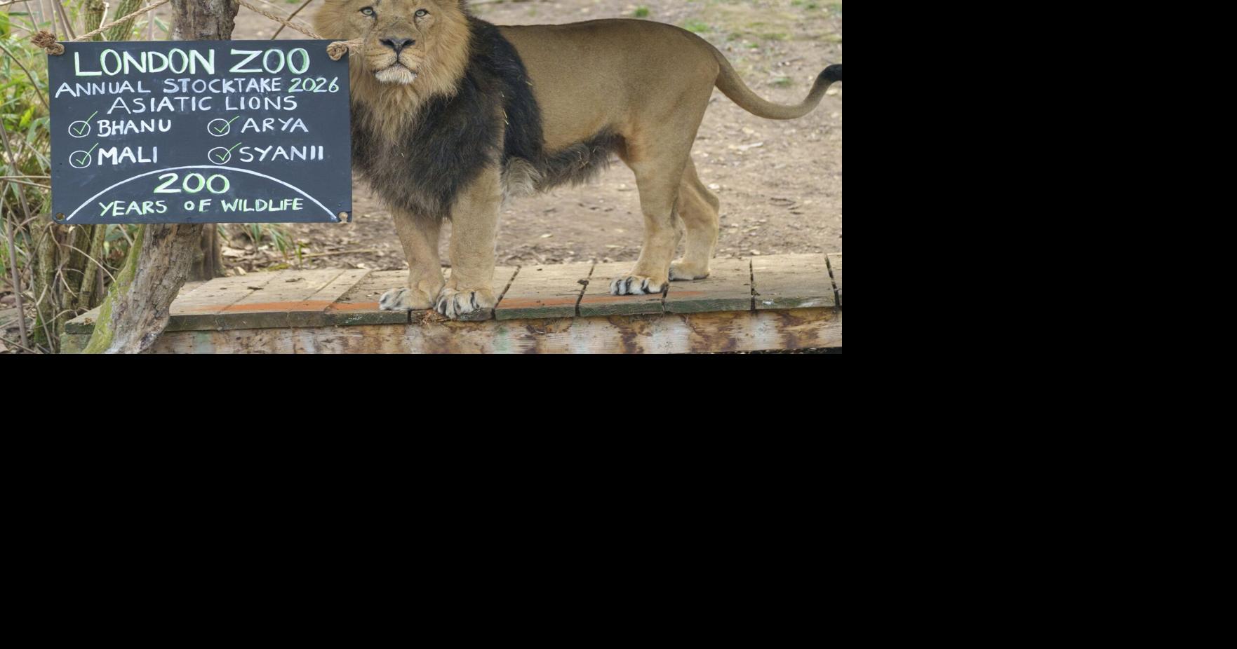 200-year-old zoo conducts annual animal count to start new year